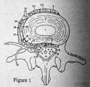 Figure 1 - Copyright – Stock Photo / Register Mark