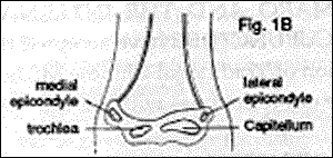 Figure 1B - Copyright – Stock Photo / Register Mark