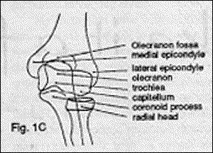 Figure 1C - Copyright – Stock Photo / Register Mark