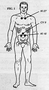 Full Body Diagram - Copyright – Stock Photo / Register Mark