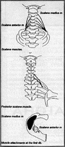 Figure 2 - Copyright – Stock Photo / Register Mark