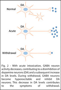 gaba neurons - Copyright – Stock Photo / Register Mark