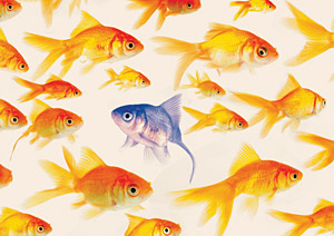 goldfish - Copyright – Stock Photo / Register Mark