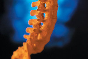 spine - Copyright – Stock Photo / Register Mark