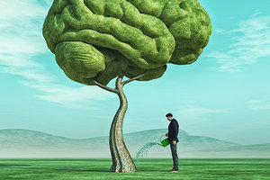 watering brain tree - Copyright – Stock Photo / Register Mark